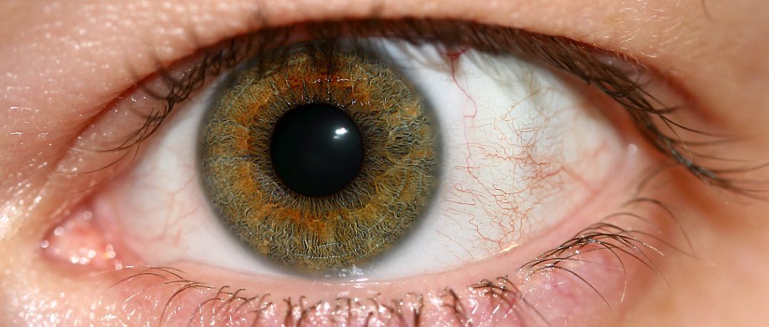 Значение расширенных зрачков