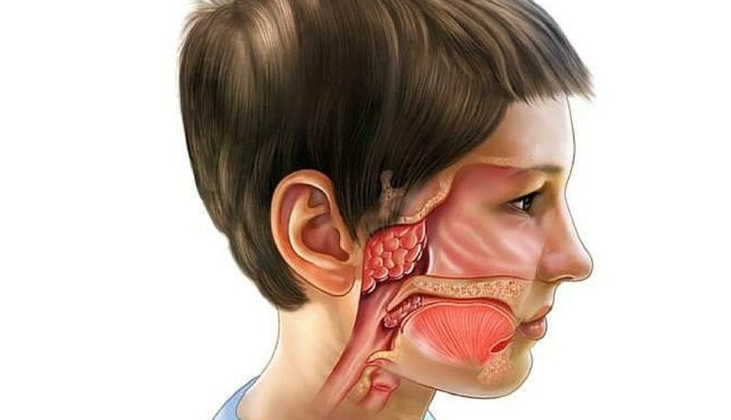 Симптомы вегетации у детей