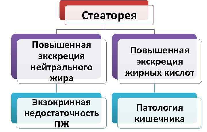 Симптомы, диагносика и лечение стеатореи